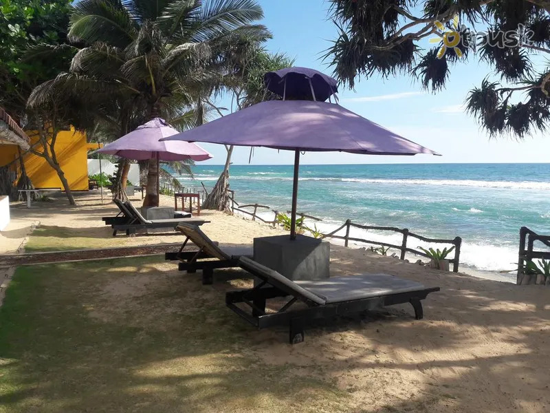 Фото отеля Cinnamon Beach Inn 3* Хіккадува Шрі Ланка пляж