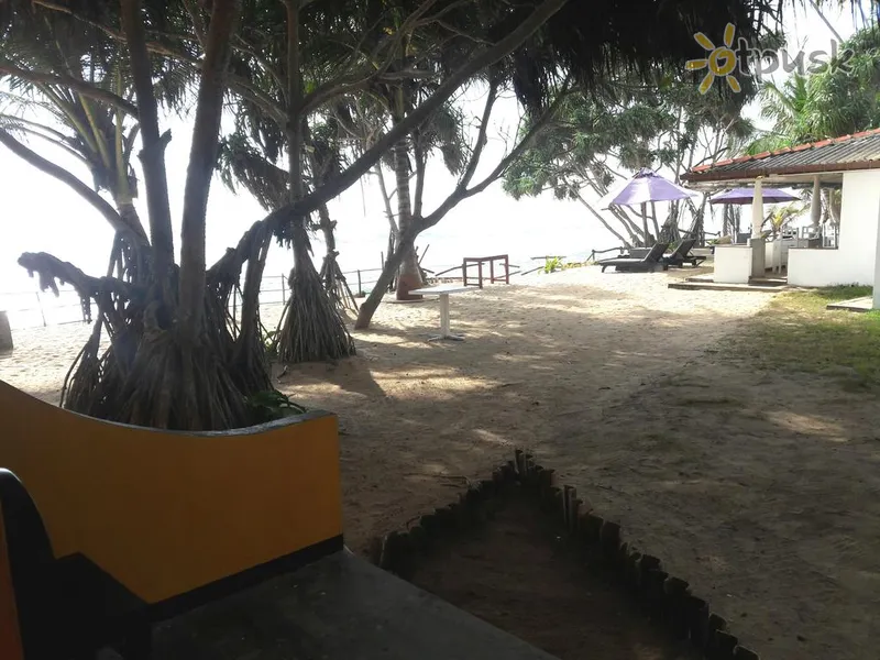 Фото отеля Cinnamon Beach Inn 3* Hikaduva Šri Lanka papludimys