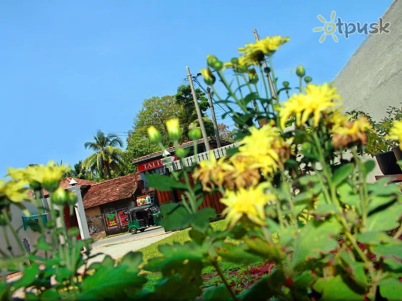 Фото отеля Mirissa Regent 2* Матара Шрі Ланка екстер'єр та басейни