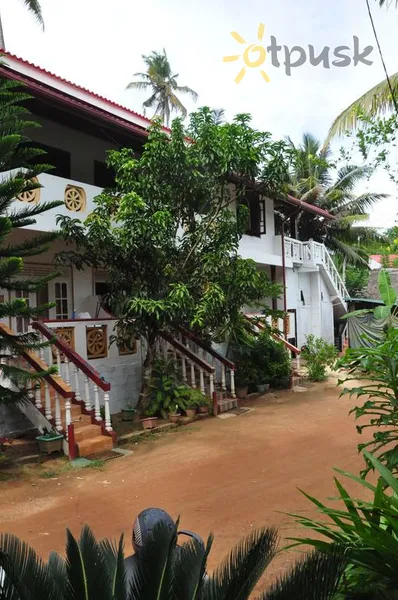 Фото отеля Mama's Place Mirissa 2* Матара Шри-Ланка экстерьер и бассейны