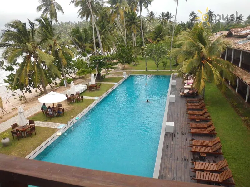 Фото отеля Paradise Beach Club 3* Mirisa Šrilanka ārpuse un baseini