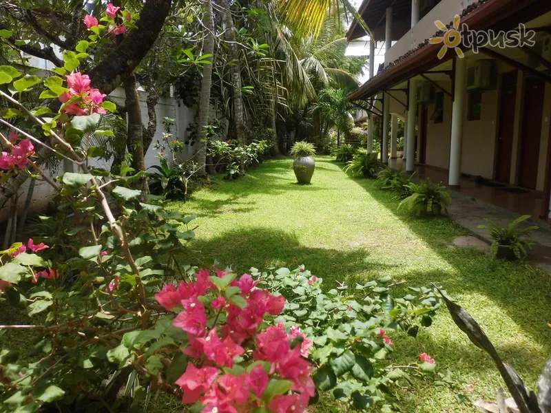 Фото отеля Paradise Beach Club 3* Міріса Шрі Ланка екстер'єр та басейни