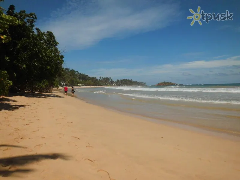Фото отеля Paradise Beach Club 3* Mirissa Šri Lanka papludimys
