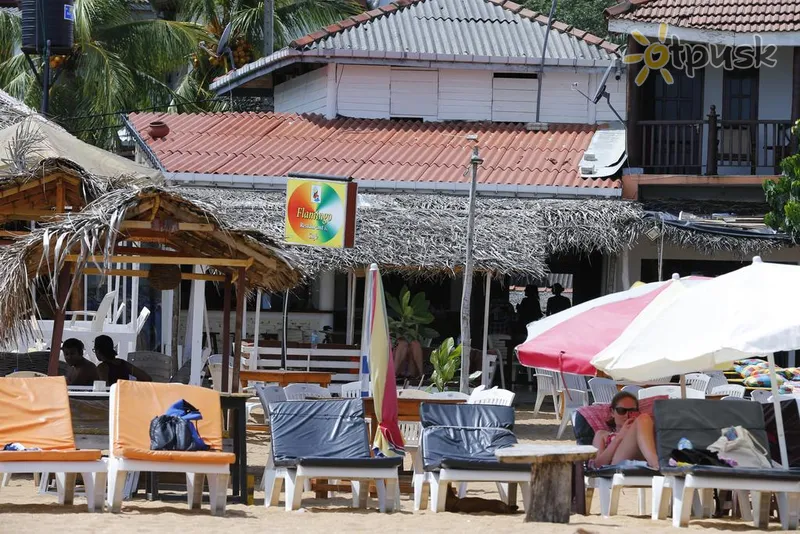 Фото отеля Flamingo Guest house 1* Unawatuna Šri Lanka papludimys