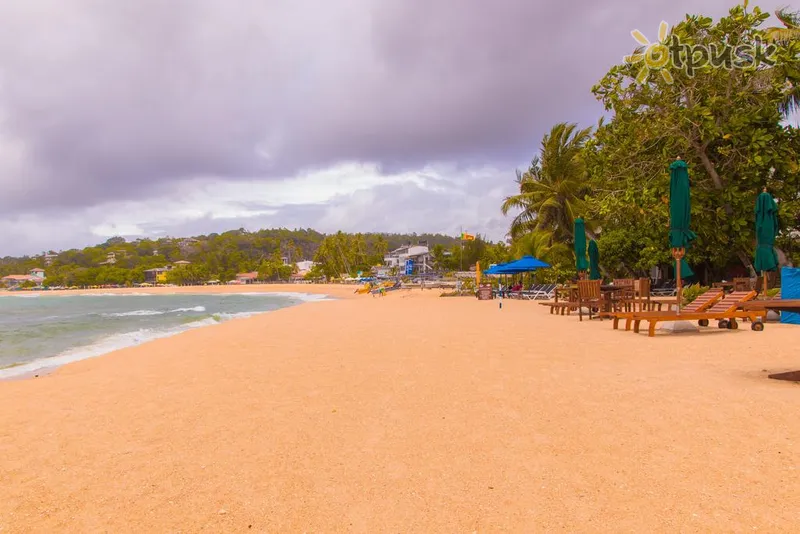 Фото отеля Orchid Villa Unawatuna 3* Унаватуна Шрі Ланка пляж