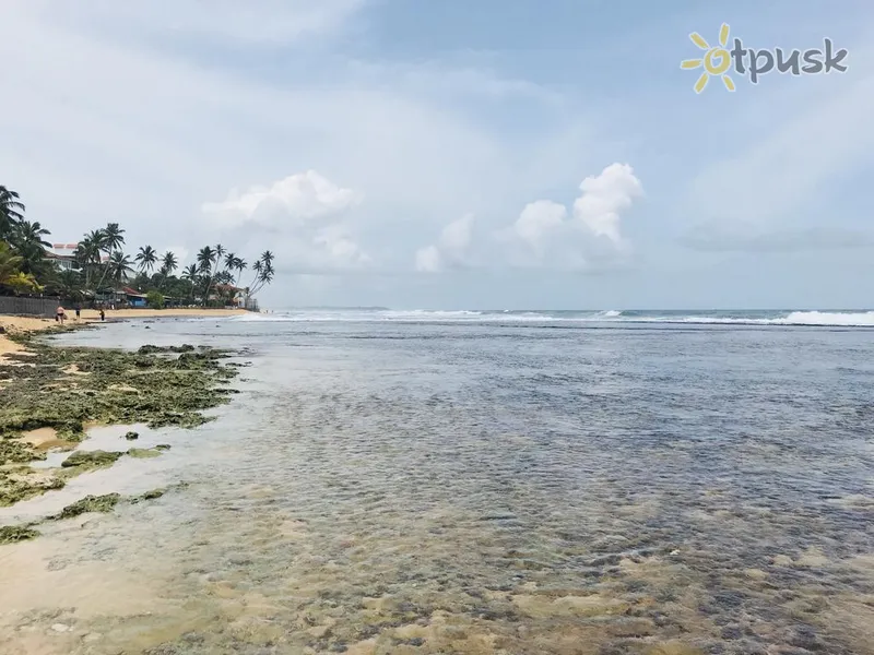 Фото отеля Coast Villa Hikkaduwa 2* Hikaduva Šrilanka pludmale