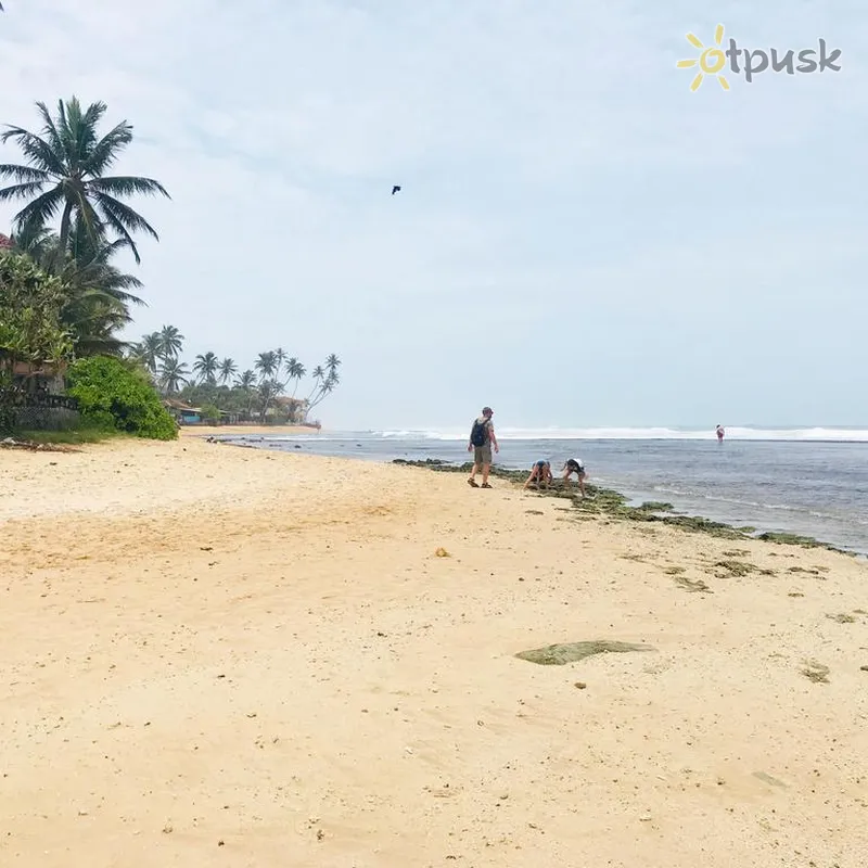Фото отеля Coast Villa Hikkaduwa 2* Хиккадува Шри-Ланка пляж