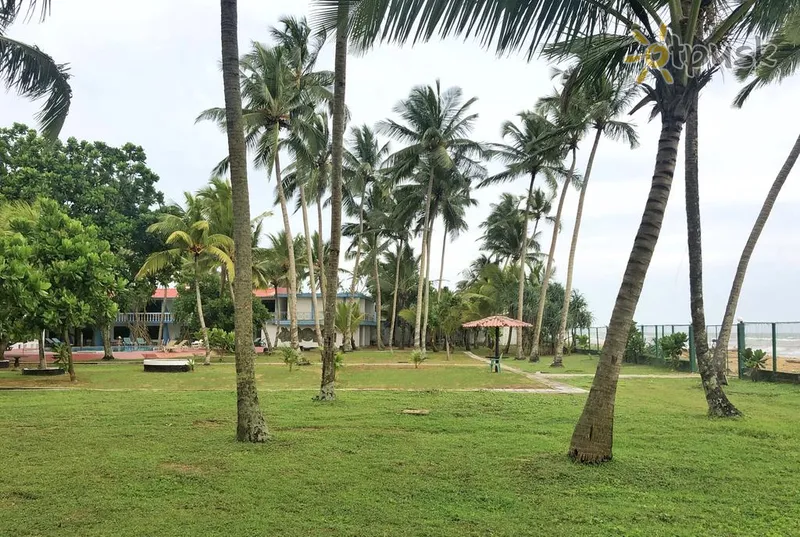 Фото отеля Shalimar Beach Resort 3* Wadduwa Šrilanka ārpuse un baseini
