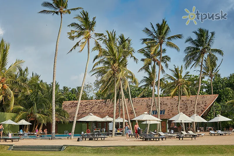 Фото отеля Ekho Surf 4* Bentota Šri Lanka išorė ir baseinai