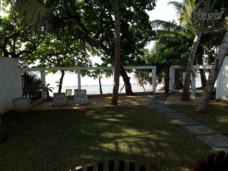 Фото отеля Bloom Villa 2* Діквелла Шрі Ланка пляж