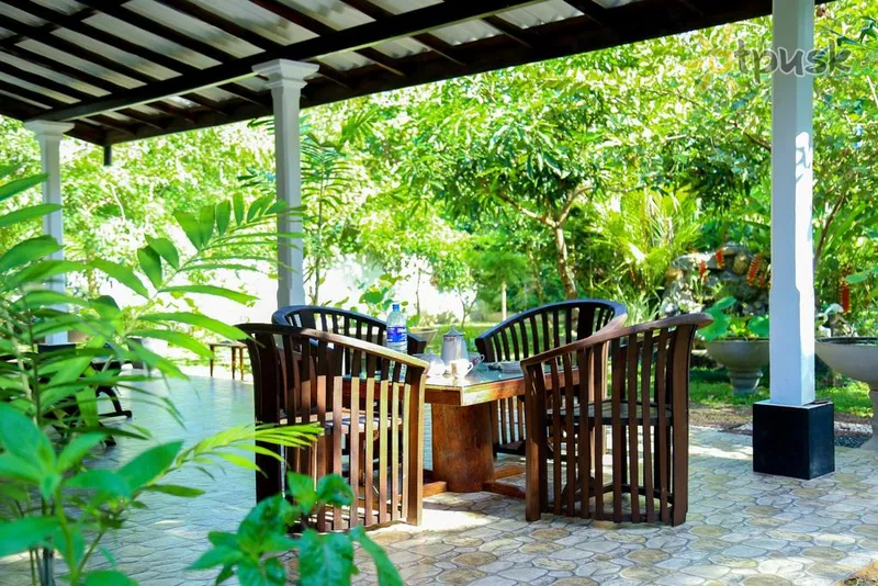 Фото отеля Green Cottage Villa 1* Хиккадува Шри-Ланка экстерьер и бассейны