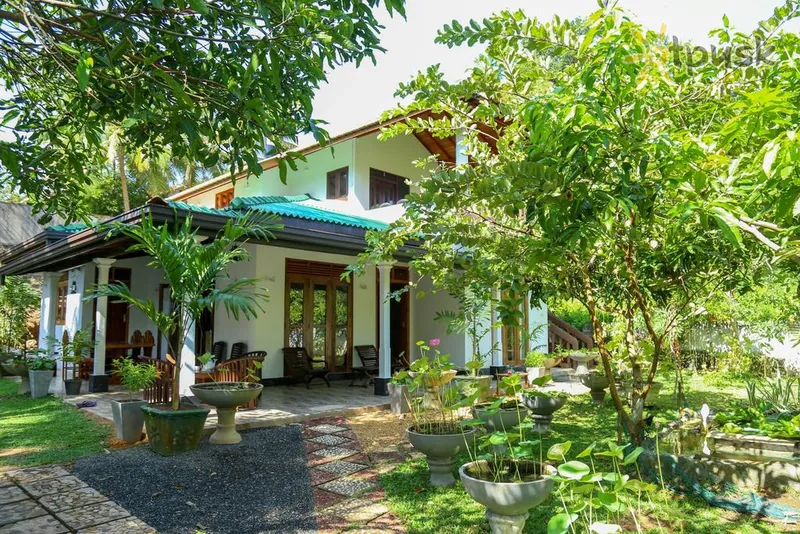 Фото отеля Green Cottage Villa 1* Хиккадува Шри-Ланка экстерьер и бассейны