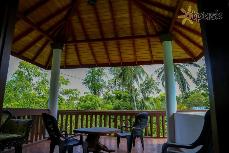 Фото отеля Green Cottage Villa 1* Хиккадува Шри-Ланка прочее