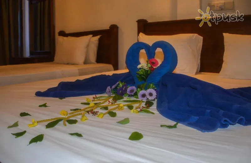 Фото отеля Calluna Hotel Mirissa 3* Матара Шри-Ланка номера