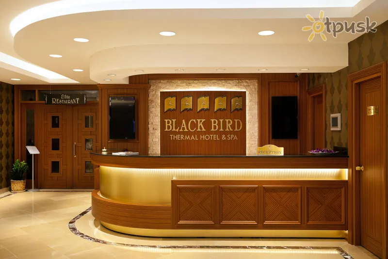 Фото отеля Black Bird Thermal Hotel & Spa 4* Ялова Турция лобби и интерьер