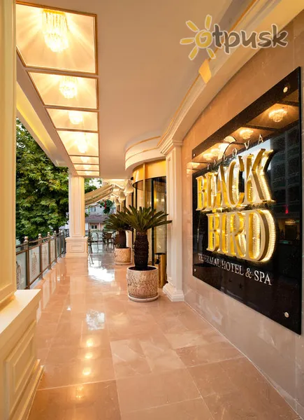 Фото отеля Black Bird Thermal Hotel & Spa 4* Jalova Turcija ārpuse un baseini