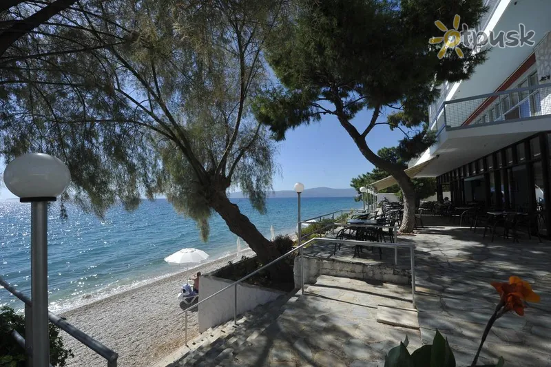 Фото отеля Siagas Beach Hotel 3* Atika Graikija išorė ir baseinai