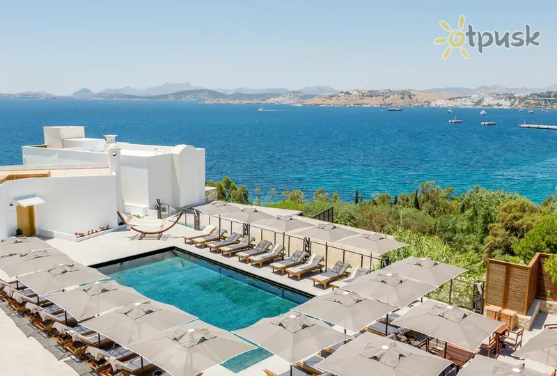 Фото отеля Senses Hotel 4* Bodrumas Turkija išorė ir baseinai