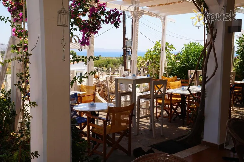 Фото отеля Panorama Gennadi Hotel 2* о. Родос Греция бары и рестораны