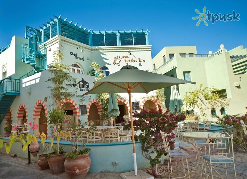 Фото отеля Turtle's Inn Hotel 3* Эль-Гуна Египет бары и рестораны