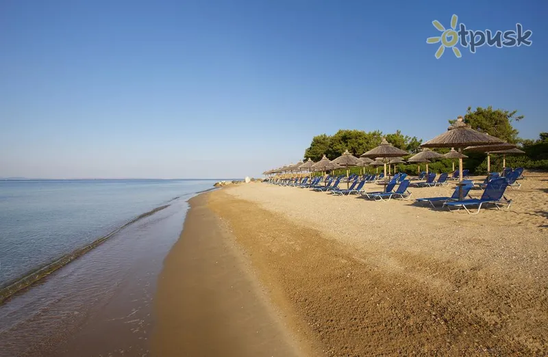 Фото отеля Blue Dolphin Hotel 4* Халкідікі – Сітонія Греція пляж