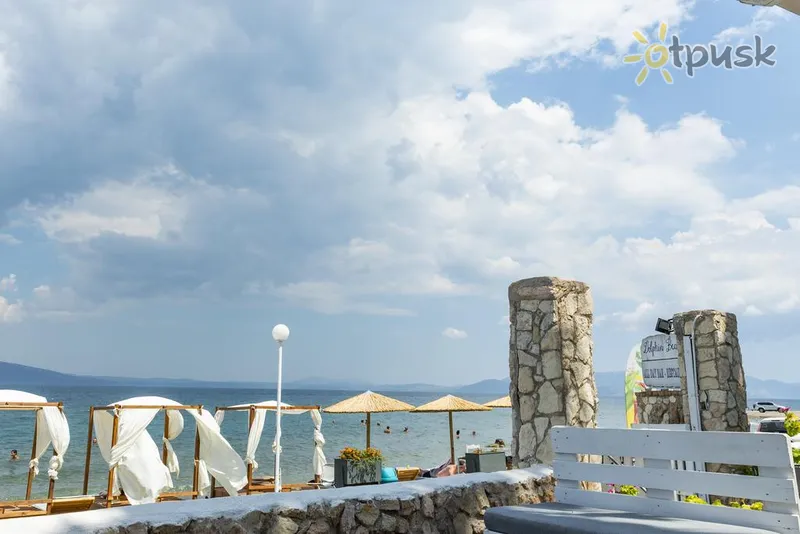 Фото отеля Dolphin Resort & Conference 3* Аттика Греция экстерьер и бассейны