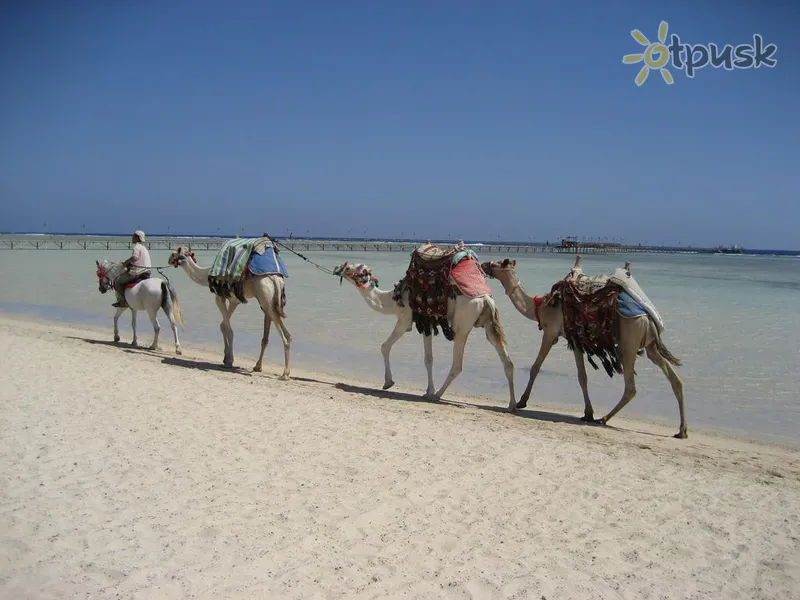 Фото отеля Bliss Marina Resort 4* Марса Алам Египет пляж