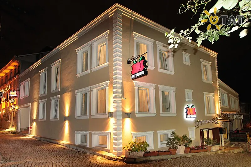 Фото отеля Apple Tree Hotel 3* Стамбул Турция экстерьер и бассейны