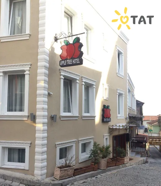 Фото отеля Apple Tree Hotel 3* Стамбул Турция экстерьер и бассейны