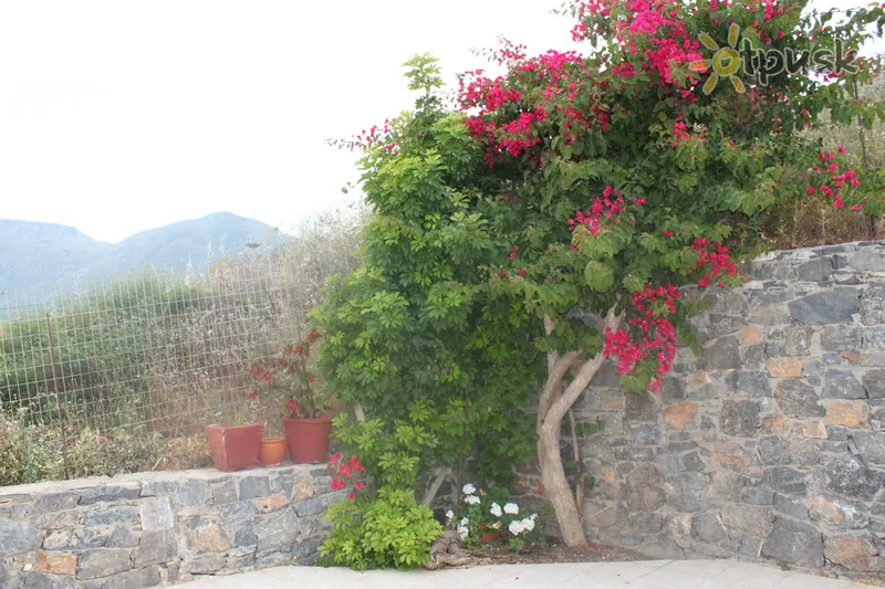 Фото отеля Sarlot Studios 3* о. Крит – Ретимно Греция экстерьер и бассейны