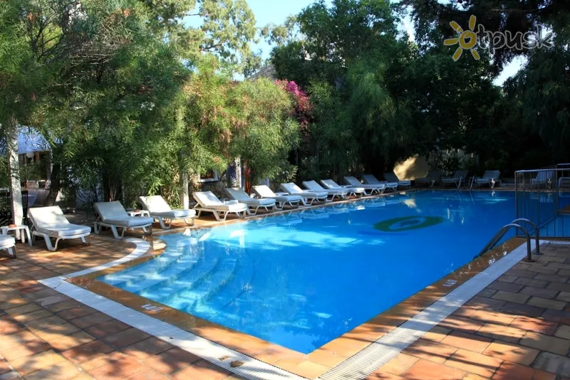 Фото отеля Okaliptus Hotel 4* Бодрум Туреччина екстер'єр та басейни