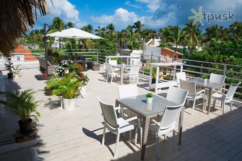 Фото отеля Art Villa Dominicana 3* Bavaro Dominikos Respublika barai ir restoranai