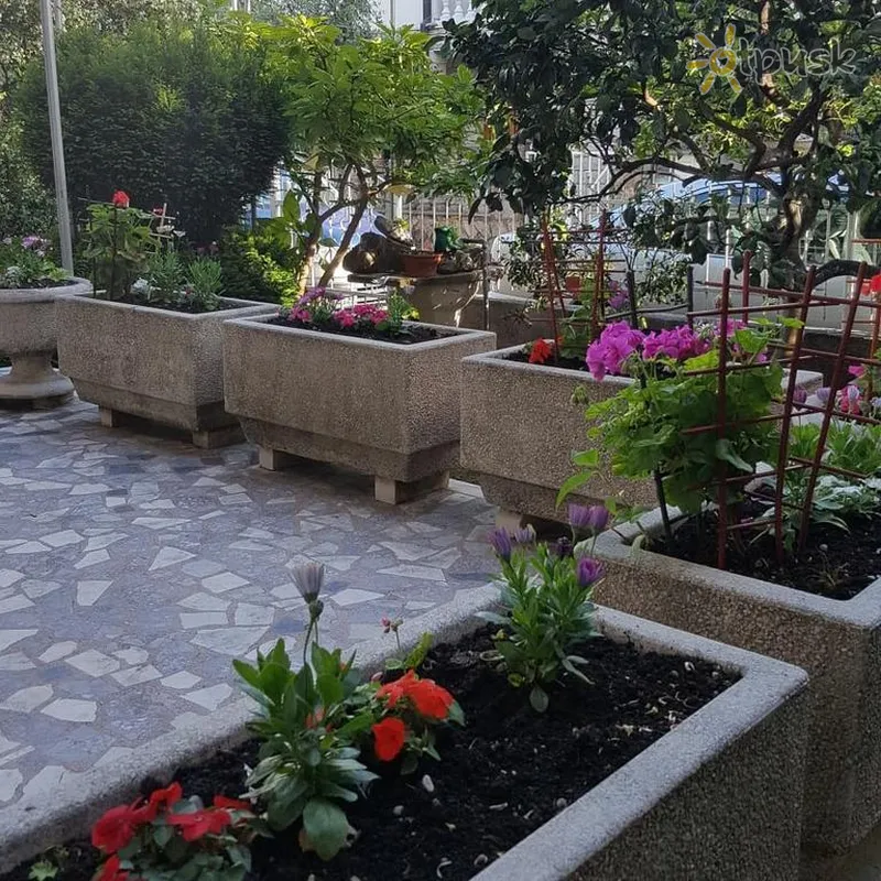 Фото отеля Drag Villa 3* Будва Черногория прочее