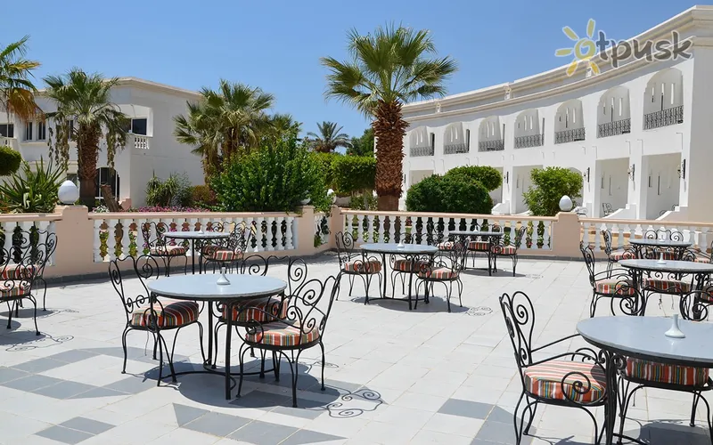 Фото отеля Royal Paradise Resort 4* Шарм эль Шейх Египет бары и рестораны