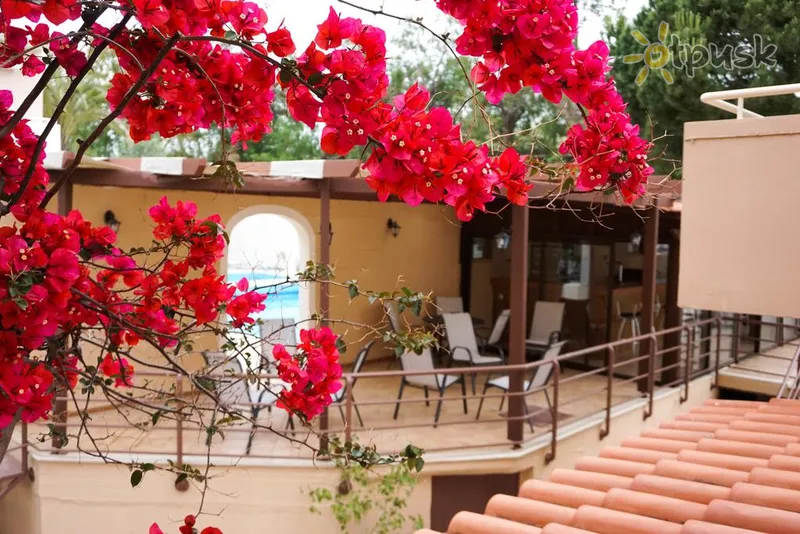 Фото отеля Dioni Hotel 3* Kreta – Retimnas Graikija barai ir restoranai