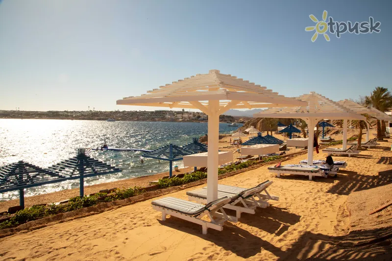 Фото отеля Grand Oasis Resort 4* Шарм ель шейх Єгипет пляж