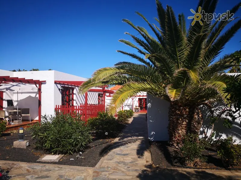 Фото отеля Castillo Beach Club 2* Fuerteventura (Kanarai) Ispanija išorė ir baseinai