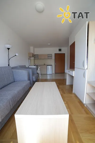 Фото отеля Knezevic Rozino Apartment 3* Будва Чорногорія номери