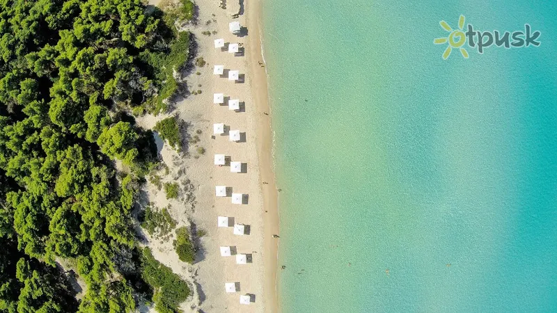 Фото отеля Sani Dunes 5* Halkidiki — Kasandra Grieķija pludmale