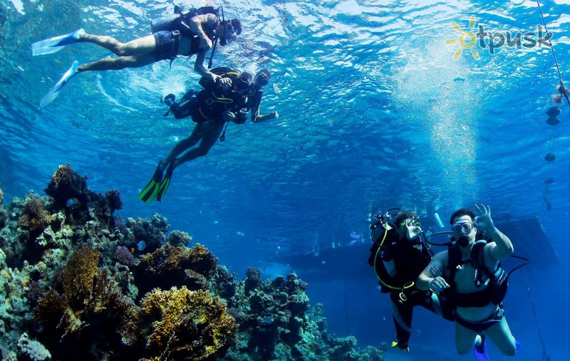 Фото отеля Reef Oasis Blue Bay Resort & Spa 5* Шарм эль Шейх Египет спорт и досуг