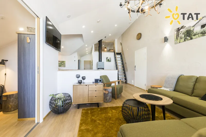 Фото отеля Levin Orion 10 Penthouse 4* Леві Фінляндія номери