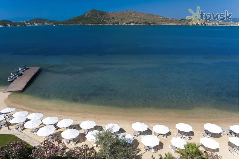 Фото отеля D-Resort Murat Reis Ayvalik 5* Кушадасы Турция пляж