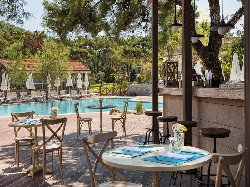 Фото отеля D-Resort Murat Reis Ayvalik 5* Kušadasis Turkija barai ir restoranai