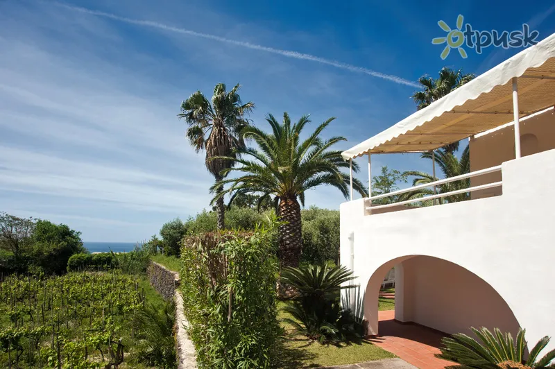 Фото отеля Palummera Residence 3* par. Ischia Itālija cits