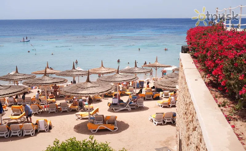 Фото отеля Reef Oasis Beach Resort 5* Шарм ель шейх Єгипет пляж