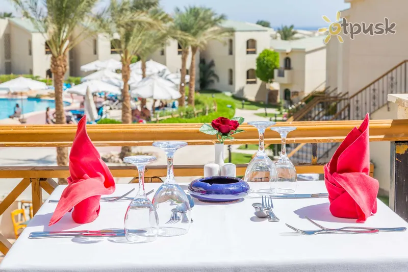 Фото отеля Island View Resort 5* Šarm el Šeichas Egiptas barai ir restoranai