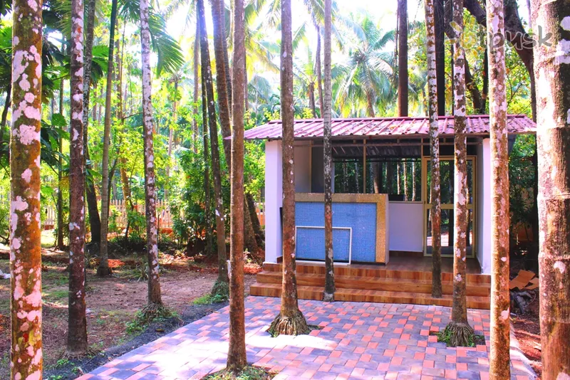 Фото отеля Arambol Paradise Village Resort 2* Ziemeļu goa Indija ārpuse un baseini