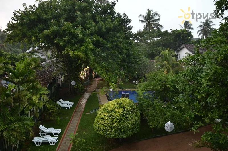 Фото отеля Susantha Garden Hotel 3* Bentota Šri Lanka išorė ir baseinai
