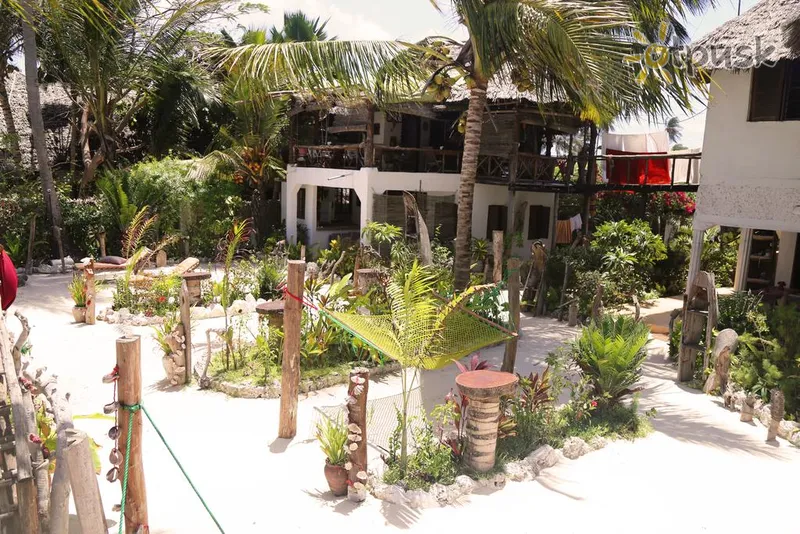 Фото отеля Mango Beach House 3* Джамбіані Танзанія екстер'єр та басейни