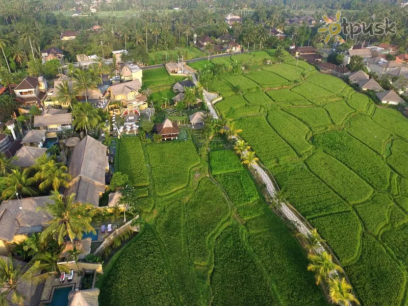 Фото отеля Wapa di Ume Ubud 4* Убуд (о. Балі) Індонезія екстер'єр та басейни